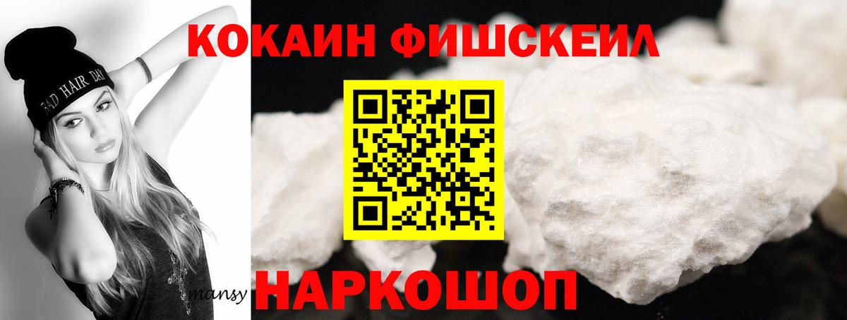 Каменка  КОКАИН Fish Scale  Кокаин  Вход с VPN 