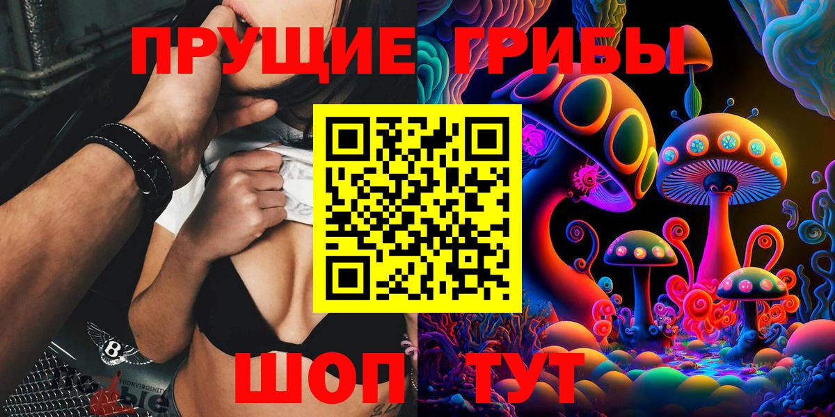 Каменка  Галлюциногенные грибы MAGIC MUSHROOMS  Псилоцибиновые грибы Cubensis  Вход с VPN 