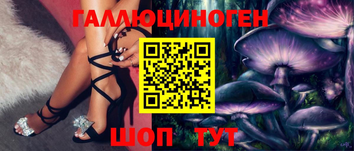 Галлюциногенные грибы MAGIC MUSHROOMS Каменка